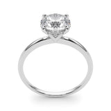 Round Hidden Halo Engagement Ring