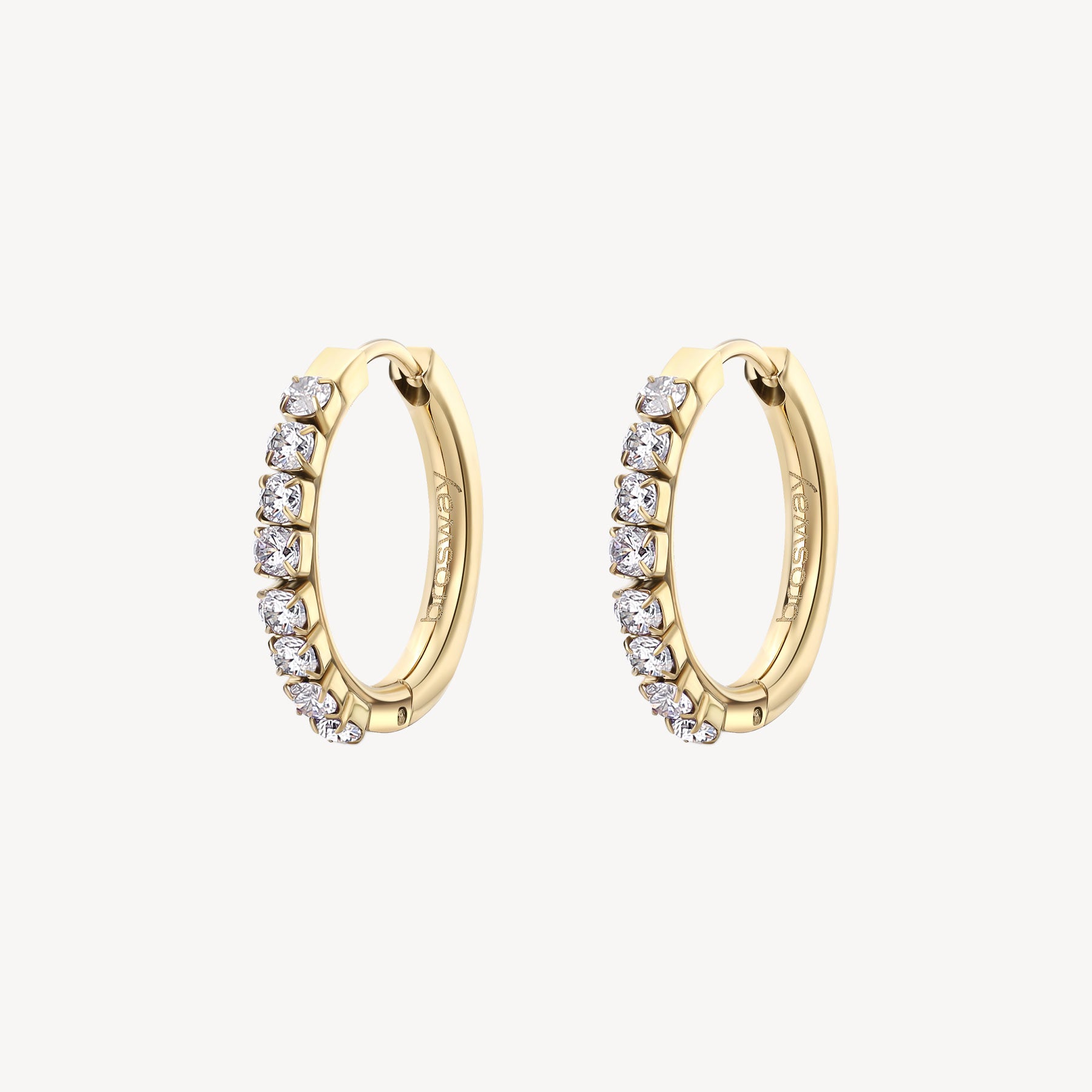 Earrings DESIDERI