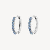 Earrings DESIDERI