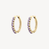 Earrings DESIDERI