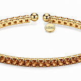 Lizas Denver Topaz Bracelet featuring warm topaz crystals, a polished gold-tone setting, and a signature Lizas charm.