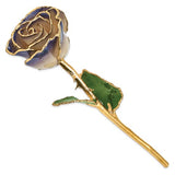 Nespoli Jewelers White/Twilight Pearl 24k Gold Dipped Rose