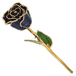 Twilight Pearl 24k Gold Dipped Rose