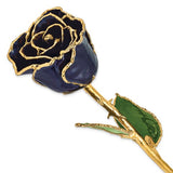 Twilight Pearl 24k Gold Dipped Rose