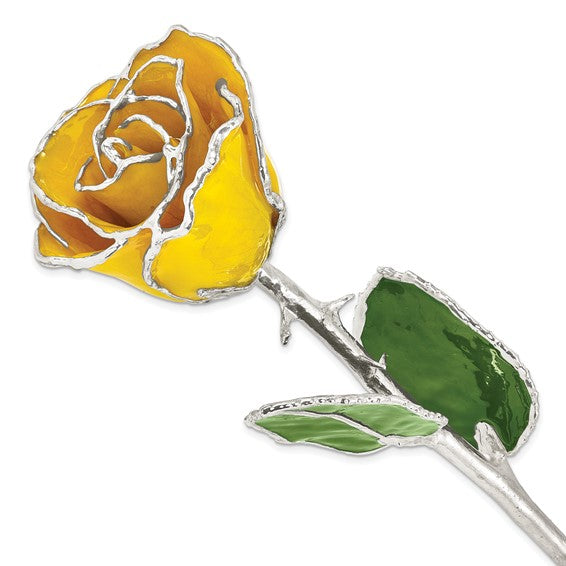 Yellow Silver Dipped Rose