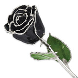 Black Silver Dipped Rose