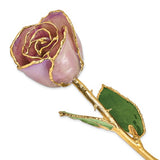 Lavender 24k Gold Dipped Rose