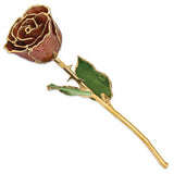 Nespoli Jewelers Cinnamon Pearl Rose 24k Gold Dipped Rose