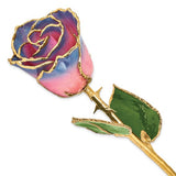 Pink & Navy 24k Gold Dipped Rose