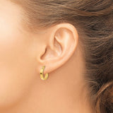 Leslie 14K Yellow Gold Polished Hoop Earrings