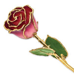 Nespoli Jewelers Pink and Burgundy 24k Gold Dipped Rose
