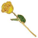 Nespoli Jewelers Yellow 24k Gold Dipped Rose