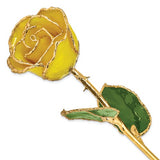 Nespoli Jewelers Yellow 24k Gold Dipped Rose