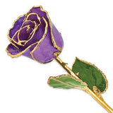 Nespoli Jewelers Lilac 24k Gold Dipped Rose