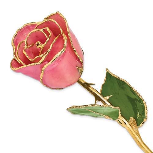Nespoli Jewelers Pink 24k Gold Dipped Rose