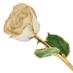 Nespoli Jewelers White 24k Gold Dipped Rose