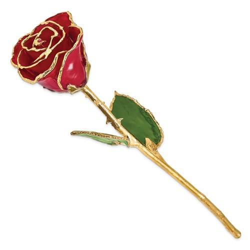 Nespoli Jewelers Red 24k Gold Dipped Rose
