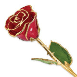 Nespoli Jewelers Red 24k Gold Dipped Rose